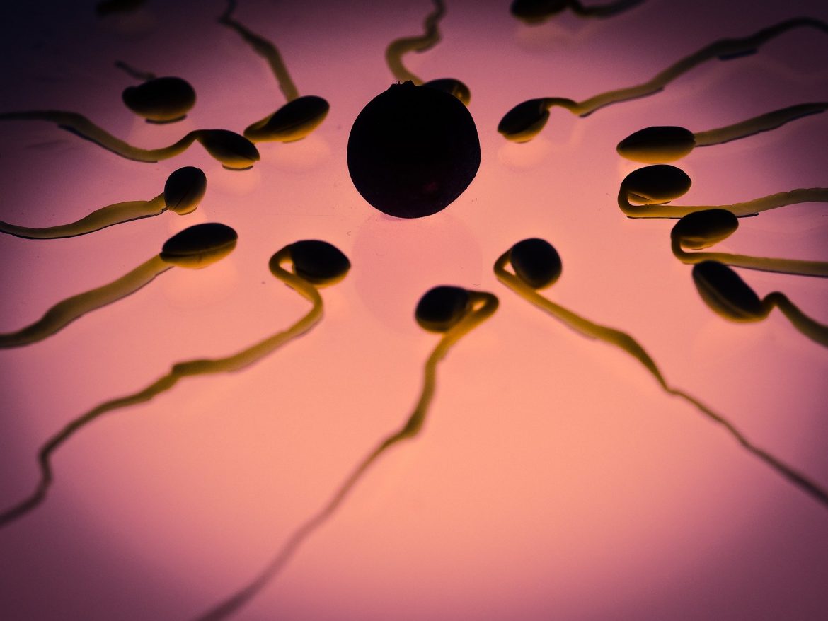 Métodos Contraceptivos na Adolescência – Preservativo